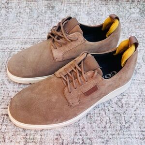 Coach Restored Citysole Derby